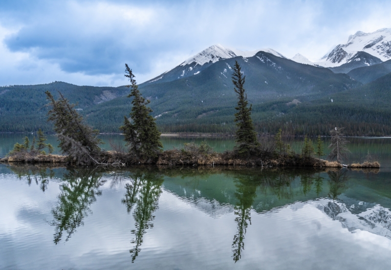 3-Tree-Reflection-April-18-2024-300ppi