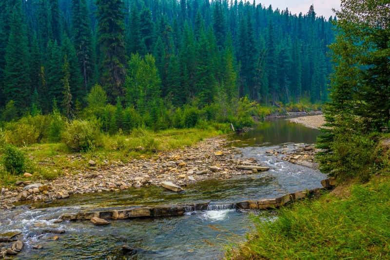 Brown-Creek-August-15-2021-300ppi