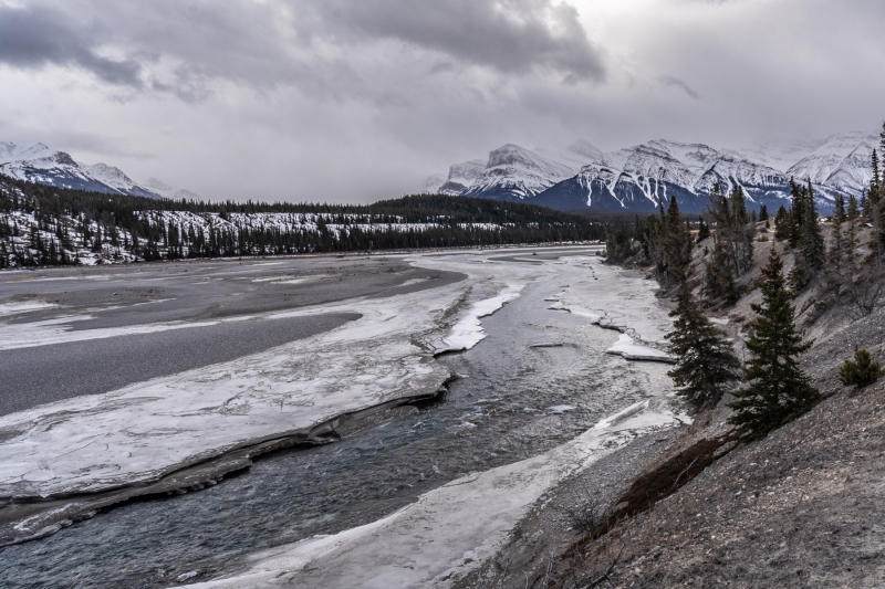 Kootenay-Plain-Walk-NSR-West-2-February-10-2023-300ppi