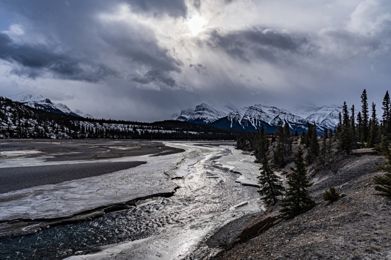 Kootenay-Plain-Walk-NSR-West-3-February-10-2023-300ppi
