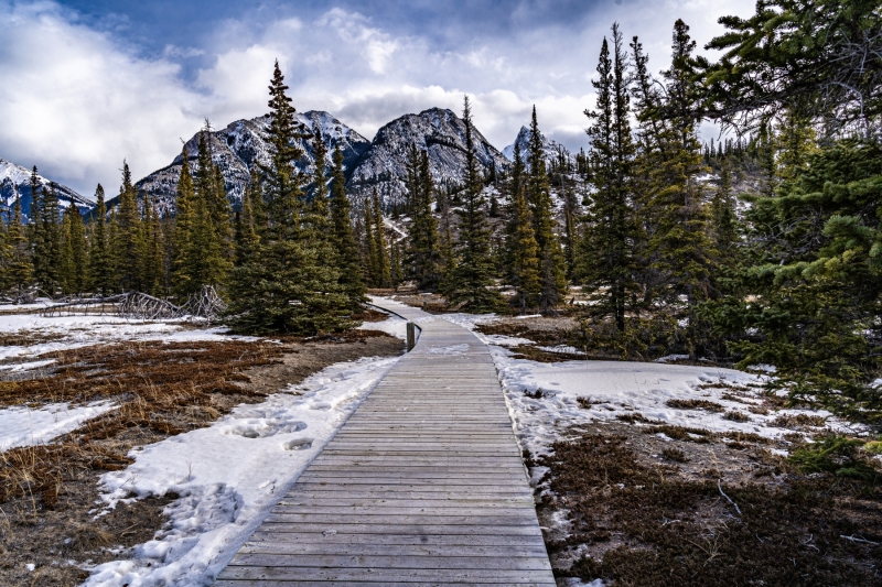 Kootenay-Plains-Boardwalk-February-10-2023-300ppi