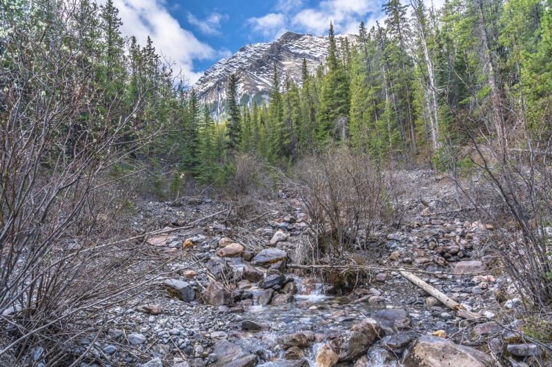 OD-Creek-Sentinel-Mountain-May-27-2022-300ppi