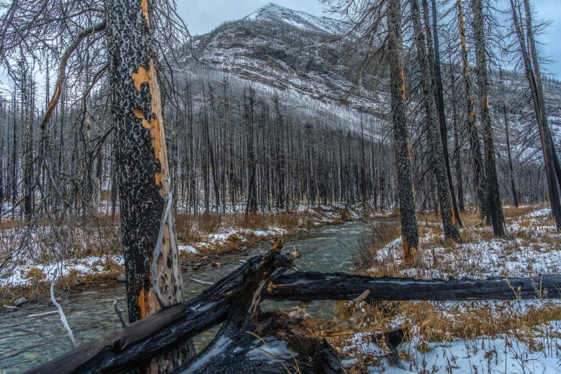 Waterton-Lakes-Wooded-River-November-3-2021-300ppi